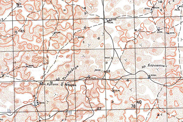 Уменьшенный фрагмент представленной топографической карты M-39-31 - Trasa.ru