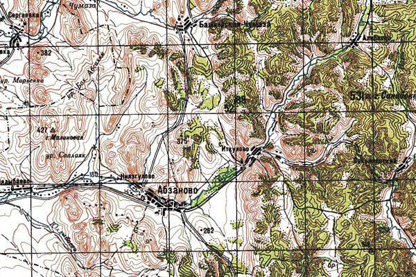 Уменьшенный фрагмент представленной топографической карты M-40-03 - Trasa.ru
