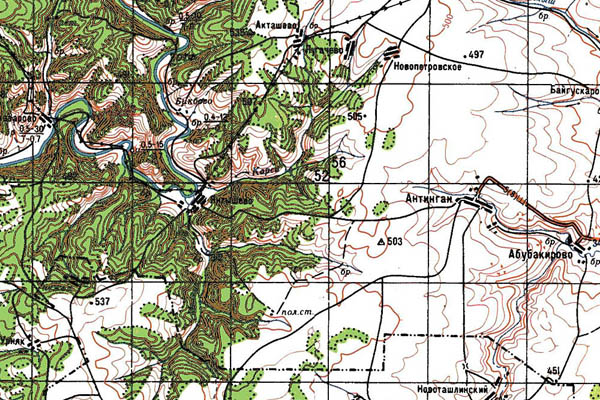 Уменьшенный фрагмент представленной топографической карты M-40-04 - Trasa.ru