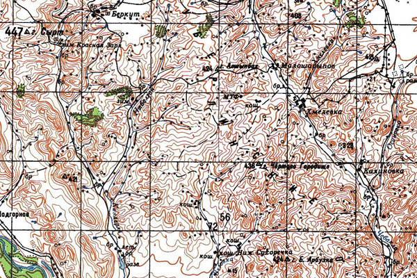 Уменьшенный фрагмент представленной топографической карты M-40-10 - Trasa.ru