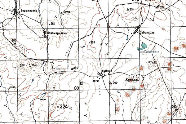 Уменьшенный фрагмент представленной топографической карты M-40-14 - Trasa.ru