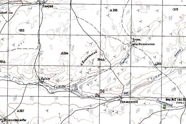 Уменьшенный фрагмент представленной топографической карты M-40-22 - Trasa.ru