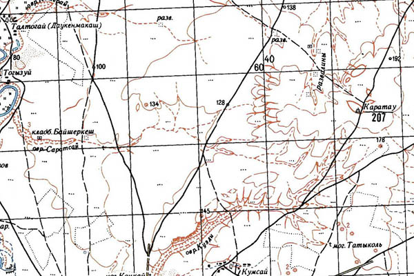Уменьшенный фрагмент представленной топографической карты M-40-25 - Trasa.ru