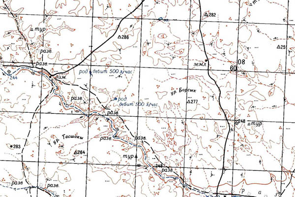 Уменьшенный фрагмент представленной топографической карты M-40-30 - Trasa.ru