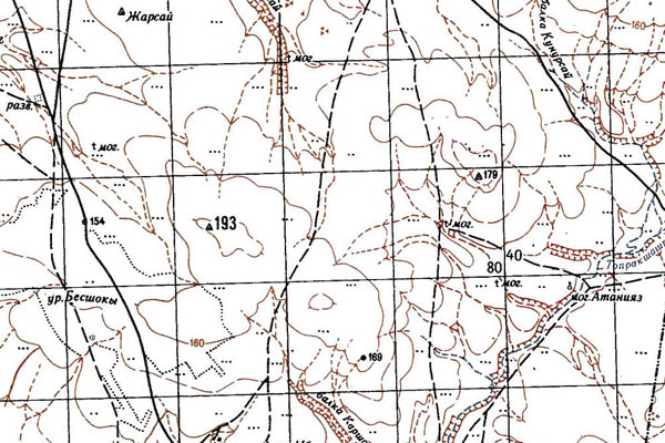 Уменьшенный фрагмент представленной топографической карты M-40-31 - Trasa.ru
