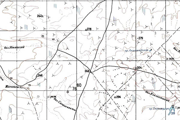Уменьшенный фрагмент представленной топографической карты M-40-33 - Trasa.ru