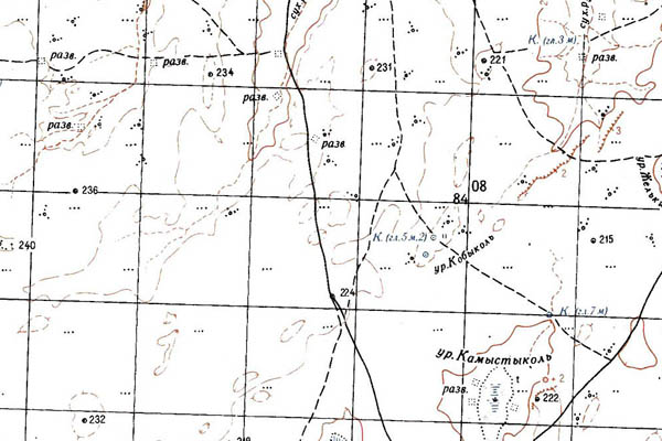 Уменьшенный фрагмент представленной топографической карты M-40-36 - Trasa.ru