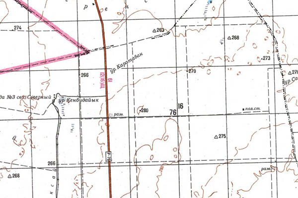 Уменьшенный фрагмент представленной топографической карты M-41-08 - Trasa.ru