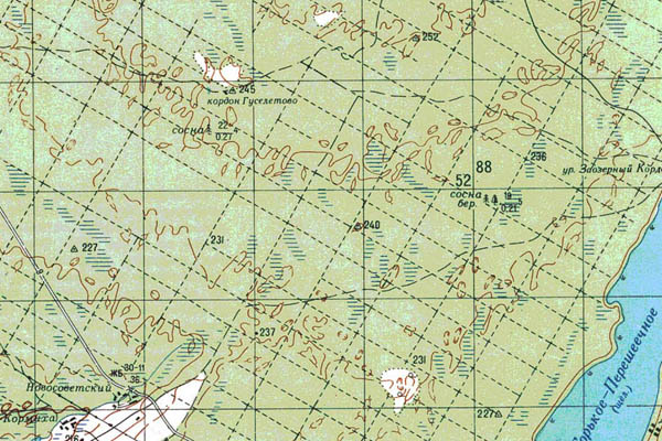 Уменьшенный фрагмент представленной топографической карты M-44-03 - Trasa.ru