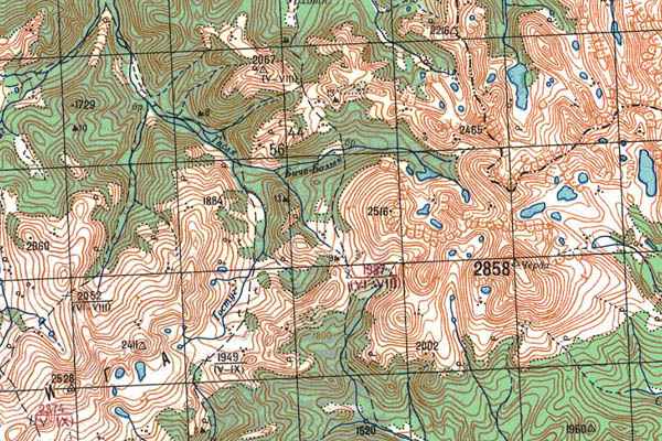 Уменьшенный фрагмент представленной топографической карты M-46-01 - Trasa.ru