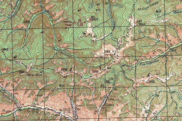 Уменьшенный фрагмент представленной топографической карты M-46-02 - Trasa.ru