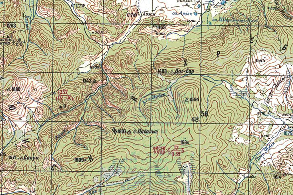 Уменьшенный фрагмент представленной топографической карты M-46-04 - Trasa.ru