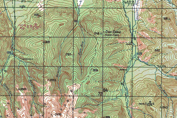 Уменьшенный фрагмент представленной топографической карты M-46-09 - Trasa.ru