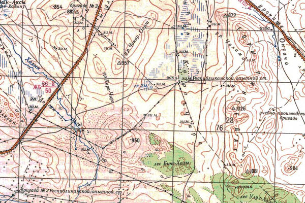 Уменьшенный фрагмент представленной топографической карты M-46-11 - Trasa.ru