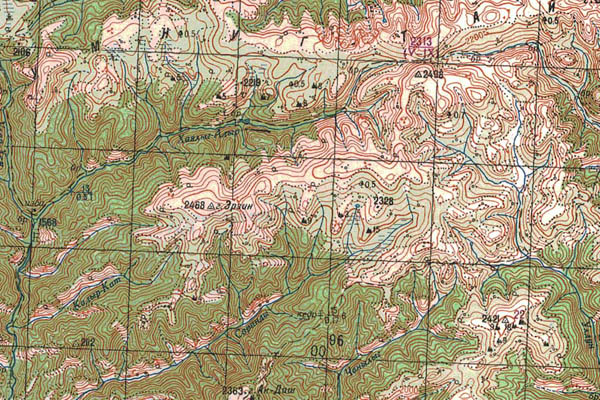 Уменьшенный фрагмент представленной топографической карты M-46-18 - Trasa.ru