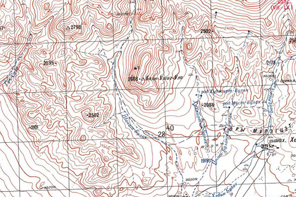 Уменьшенный фрагмент представленной топографической карты M-46-19 - Trasa.ru