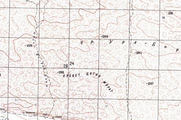 Уменьшенный фрагмент представленной топографической карты M-46-23 - Trasa.ru