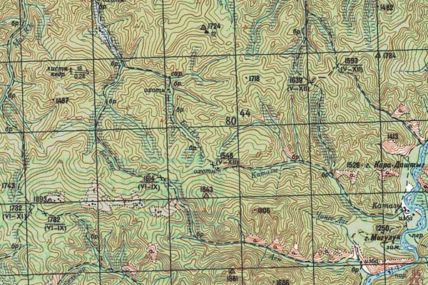 Уменьшенный фрагмент представленной топографической карты M-47-07 - Trasa.ru