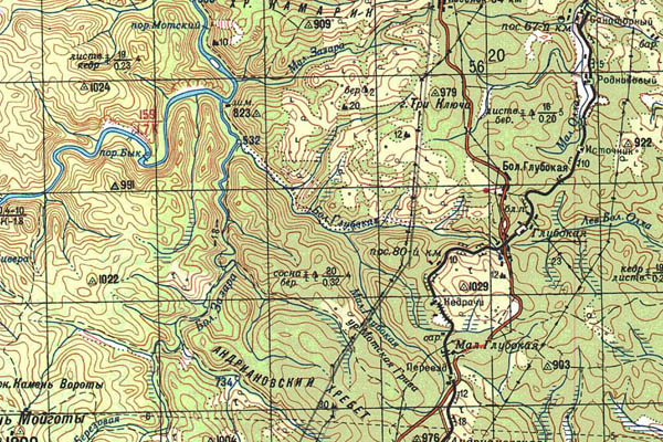 Уменьшенный фрагмент представленной топографической карты M-48-02 - Trasa.ru