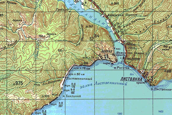 Уменьшенный фрагмент представленной топографической карты M-48-03 - Trasa.ru