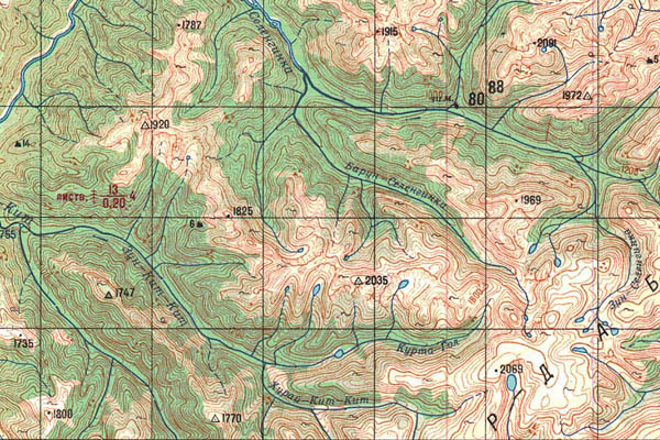 Уменьшенный фрагмент представленной топографической карты M-48-09 - Trasa.ru