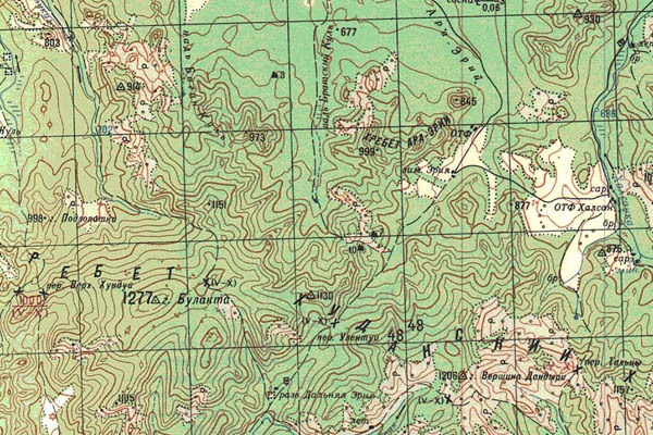 Уменьшенный фрагмент представленной топографической карты M-49-01 - Trasa.ru