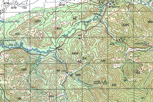 Уменьшенный фрагмент представленной топографической карты M-49-03 - Trasa.ru