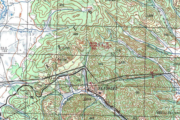 Уменьшенный фрагмент представленной топографической карты M-49-05 - Trasa.ru