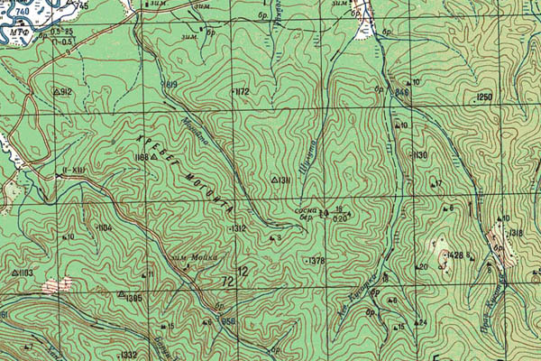 Уменьшенный фрагмент представленной топографической карты M-49-08 - Trasa.ru