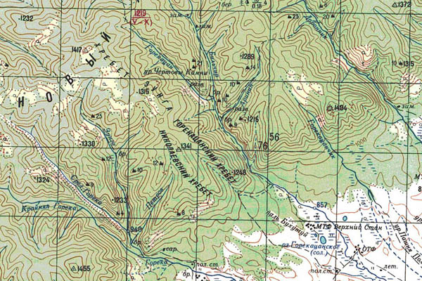Уменьшенный фрагмент представленной топографической карты M-49-10 - Trasa.ru