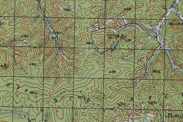 Уменьшенный фрагмент представленной топографической карты M-49-11 - Trasa.ru