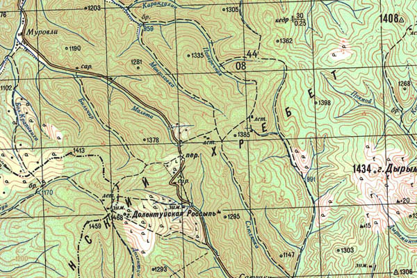 Уменьшенный фрагмент представленной топографической карты M-49-13 - Trasa.ru