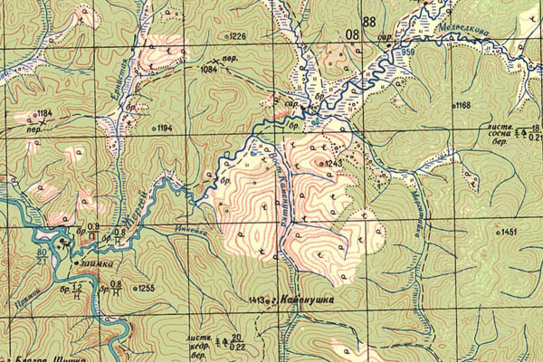 Уменьшенный фрагмент представленной топографической карты M-49-15 - Trasa.ru