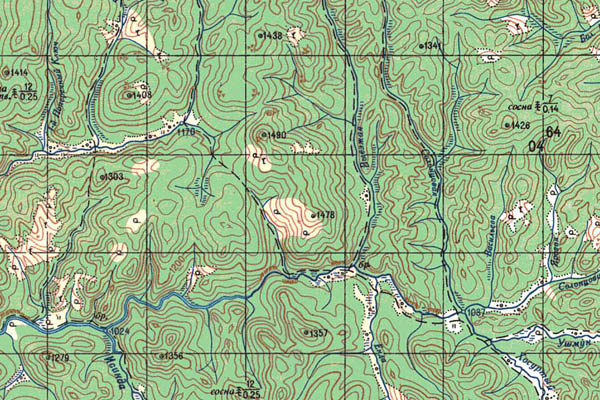 Уменьшенный фрагмент представленной топографической карты M-49-16 - Trasa.ru