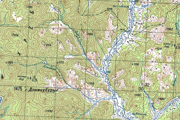 Уменьшенный фрагмент представленной топографической карты M-49-17 - Trasa.ru