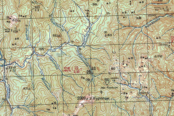 Уменьшенный фрагмент представленной топографической карты M-49-19 - Trasa.ru