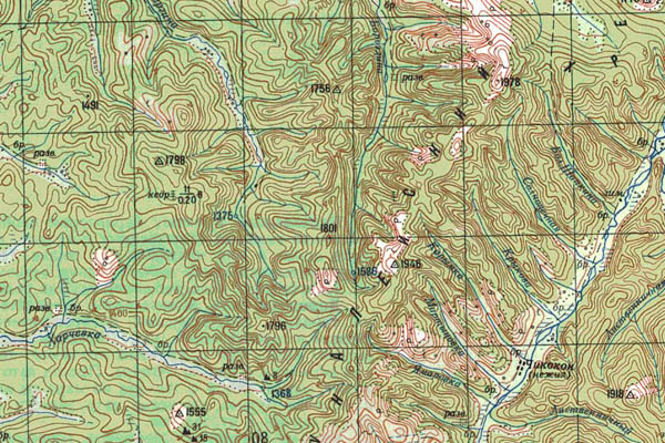 Уменьшенный фрагмент представленной топографической карты M-49-20 - Trasa.ru