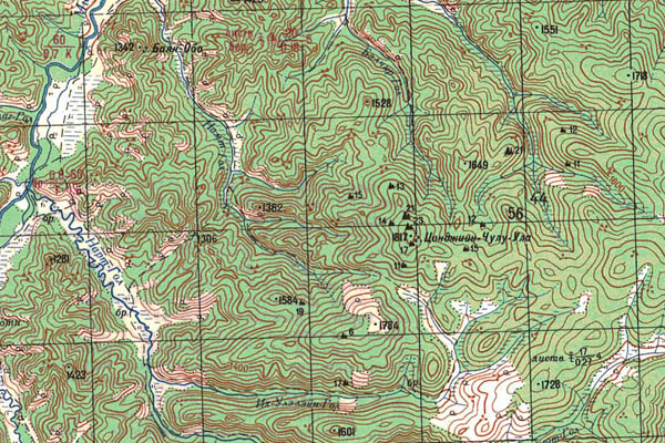 Уменьшенный фрагмент представленной топографической карты M-49-25 - Trasa.ru