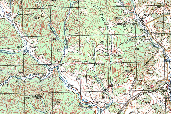 Уменьшенный фрагмент представленной топографической карты M-50-01 - Trasa.ru