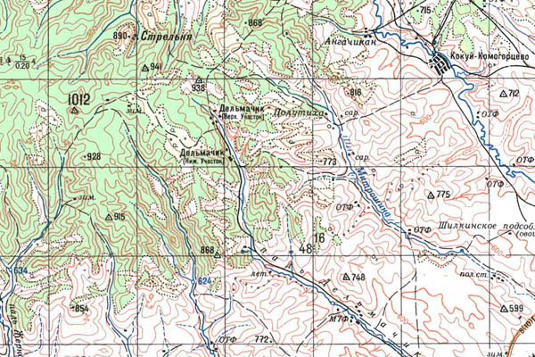 Уменьшенный фрагмент представленной топографической карты M-50-02 - Trasa.ru