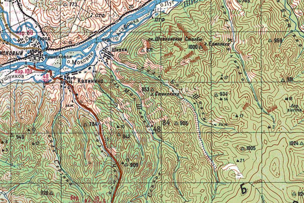 Уменьшенный фрагмент представленной топографической карты M-50-03 - Trasa.ru