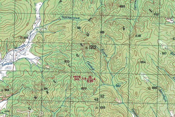 Уменьшенный фрагмент представленной топографической карты M-50-06 - Trasa.ru
