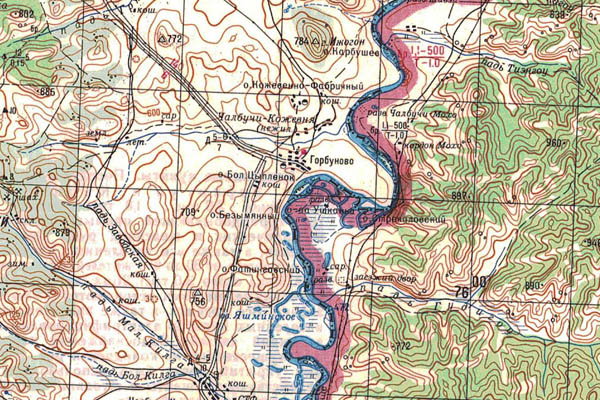 Уменьшенный фрагмент представленной топографической карты M-50-12 - Trasa.ru