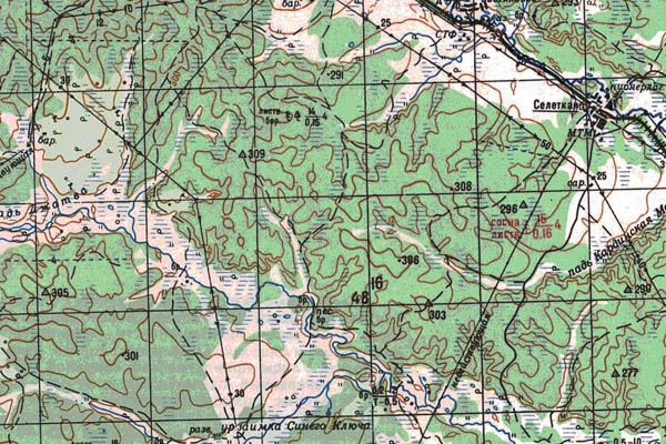 Уменьшенный фрагмент представленной топографической карты M-52-02 - Trasa.ru