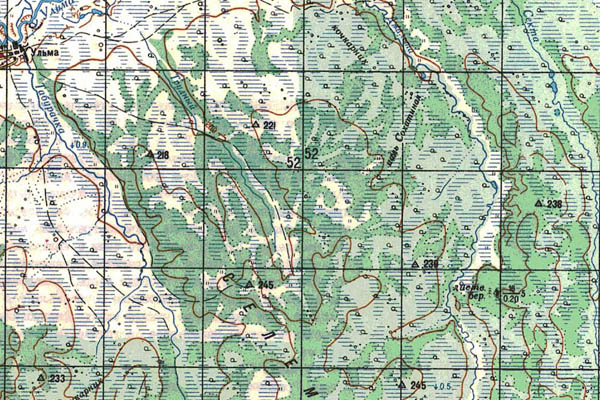Уменьшенный фрагмент представленной топографической карты M-52-04 - Trasa.ru