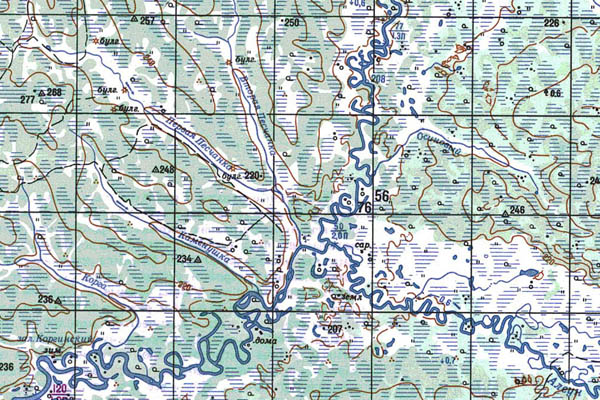 Уменьшенный фрагмент представленной топографической карты M-52-10 - Trasa.ru