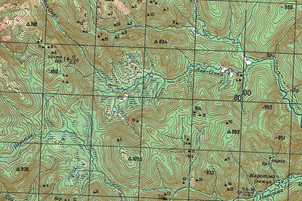 Уменьшенный фрагмент представленной топографической карты M-52-12 - Trasa.ru