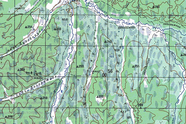 Уменьшенный фрагмент представленной топографической карты M-52-16 - Trasa.ru