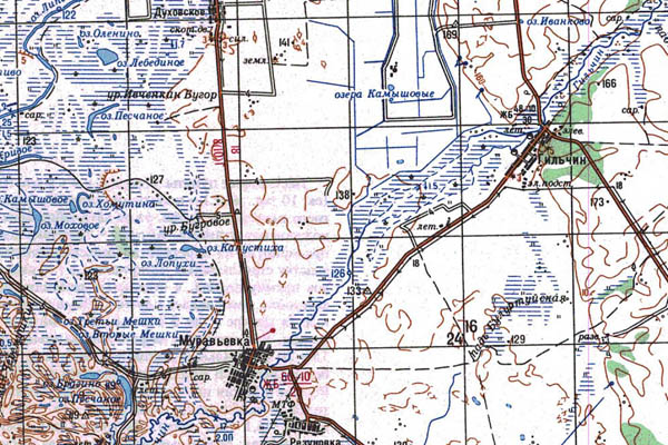 Уменьшенный фрагмент представленной топографической карты M-52-20 - Trasa.ru