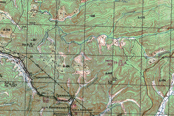 Уменьшенный фрагмент представленной топографической карты M-52-29 - Trasa.ru